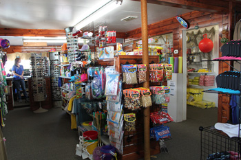 Lake Havasu Marina Photo Gallery